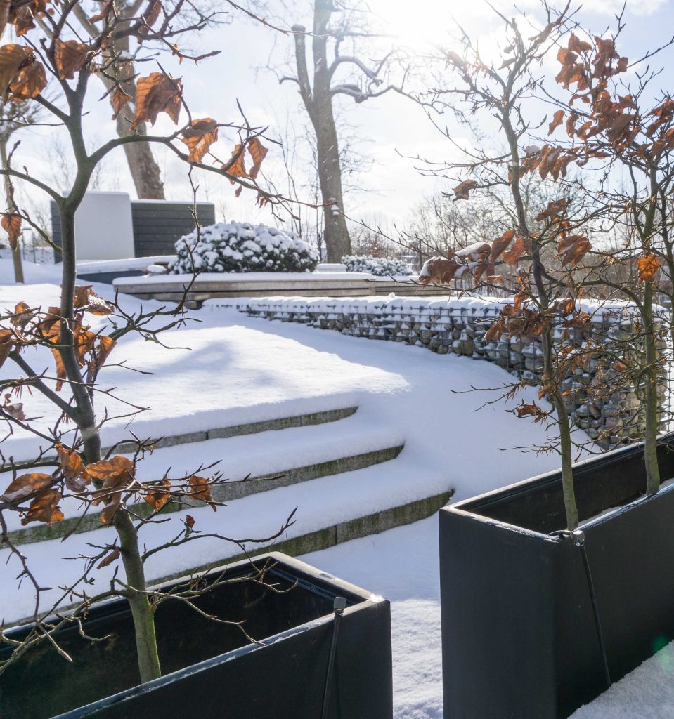 Unser Garten im Winter | schneebedeckt, pflegeleicht, modern | Blogbeitrag zum winterlichen, modernen Garten mit Gräsern, Rotbuchenhecke und Kiefern | familiethimm.de